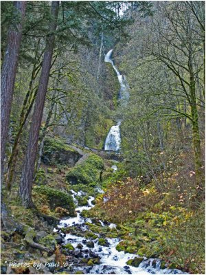 WAHKEENA FALLS