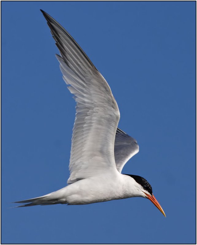 CRW_3016.jpg