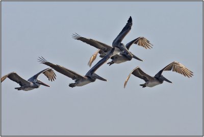 CRW_8247.jpg