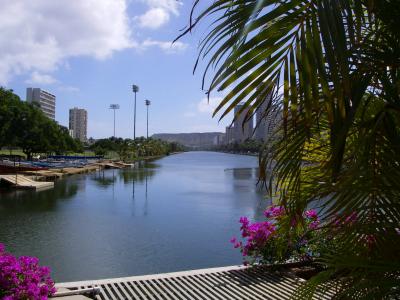 Ala Wai Canal