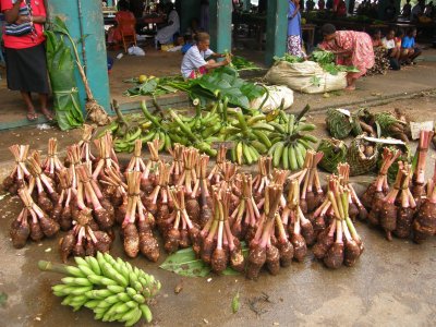 Taro and bananas