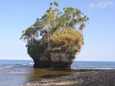 Captain Cooks Rock