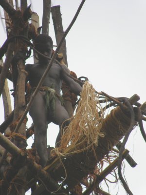 One of the top platform divers