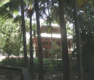 P3130049.JPG