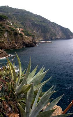 Further From the North - 1280.jpg