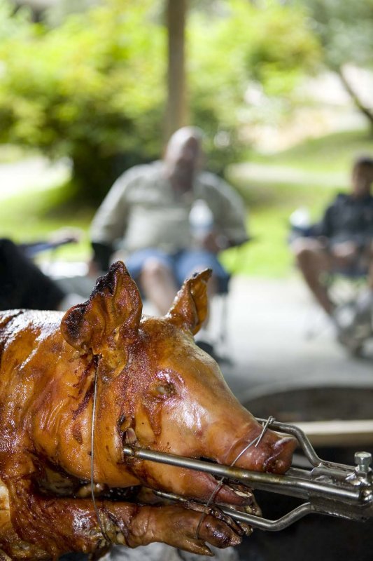 De head of de Hog
