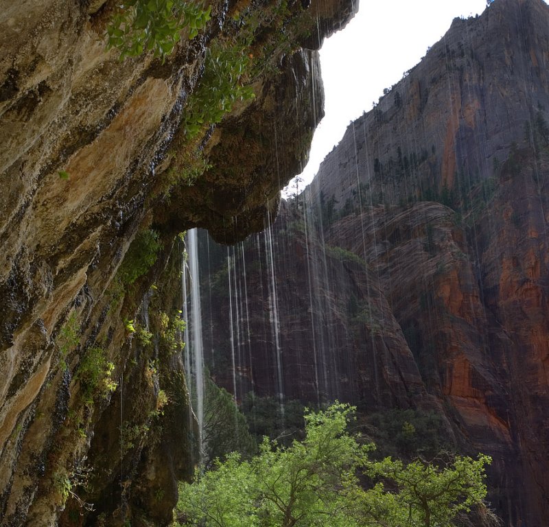 Zion - Weeping Rock