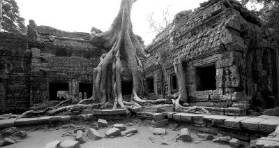 Ta Prohm