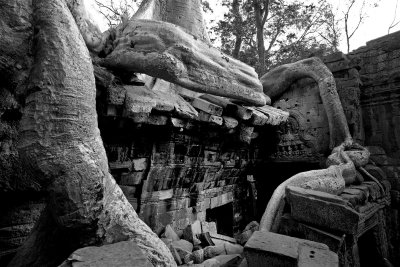 Ta Prohm