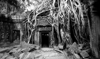 Ta Prohm