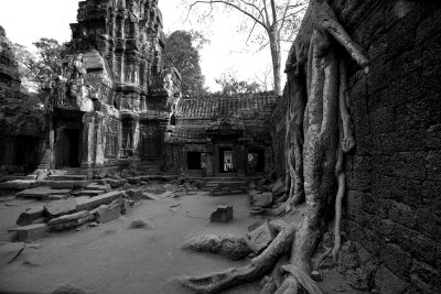 Ta Prohm