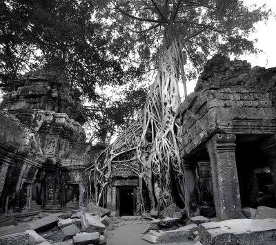 Ta Prohm