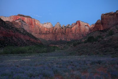 Zion - Early Morning Light