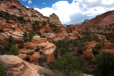 Zion - Upper Canyon