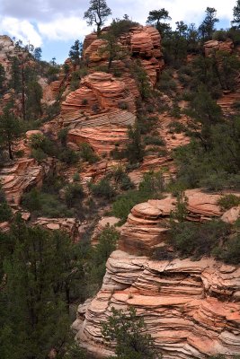 Zion - Upper Canyon