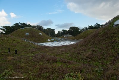 _DSC4170.jpg