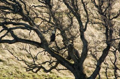 _DSC9420.jpg