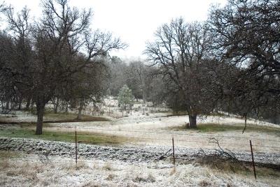 A Dusting of Snow