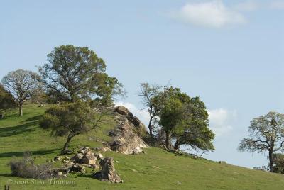 Rocky Hillside