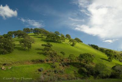 Hillside Light