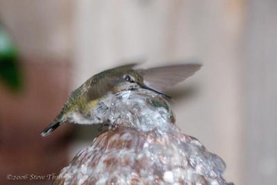Flying Bath