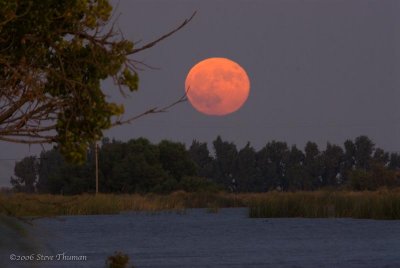 Delta Moonrise