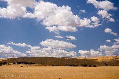 Golden Hills