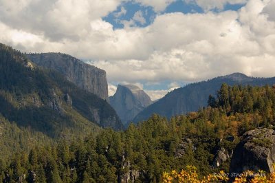 _DSC1562.jpg