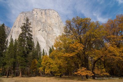 _DSC4580.jpg