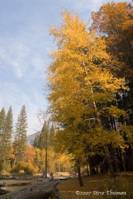 _DSC4643.jpg