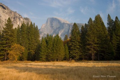 _DSC4683.jpg