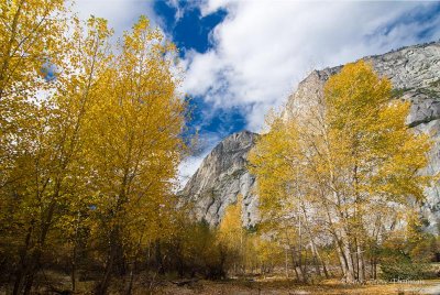 _DSC4860.jpg