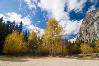_DSC4866.jpg