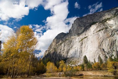 _DSC4893.jpg