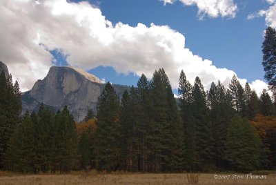_DSC4908.jpg