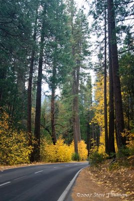_DSC4920.jpg