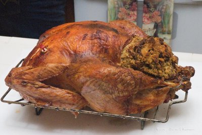 Thanksgiving Turkey