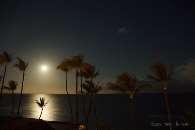 Moonlit Maui