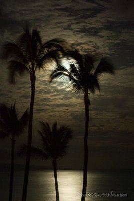 Maui Moon