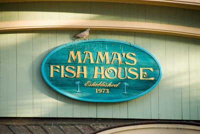 Mamas Fish House