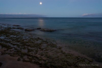 Reef and Moon