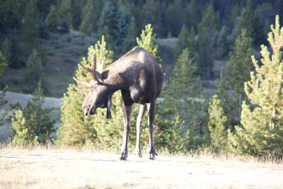 _MG_1050.jpg