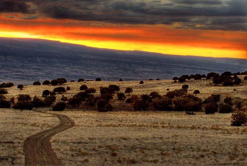The Road Less Traveled