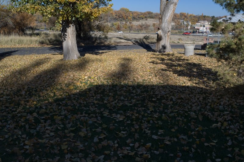 DSC_5410.jpg