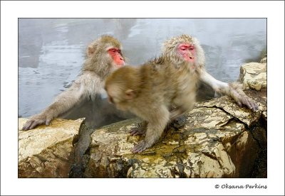 Bundle-of-Joy-4.jpg