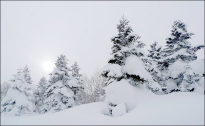 Snow.jpg
