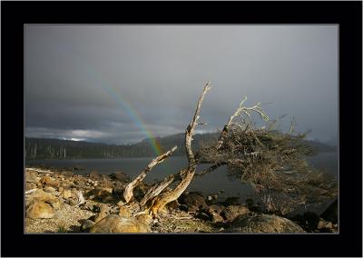 Rainbow, St.Clair NP