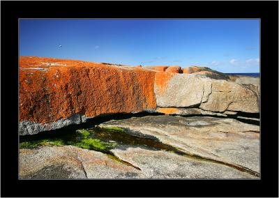 Red Rocks, Freycinet NP