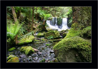 Waterfall 2, Mt Field NP