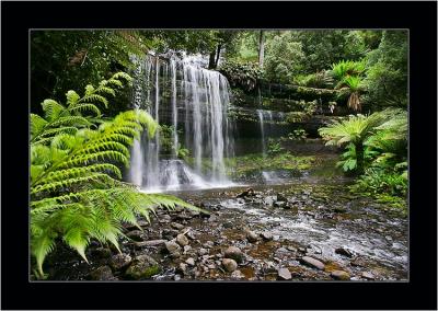 Waterfall 4, Mt Field NP